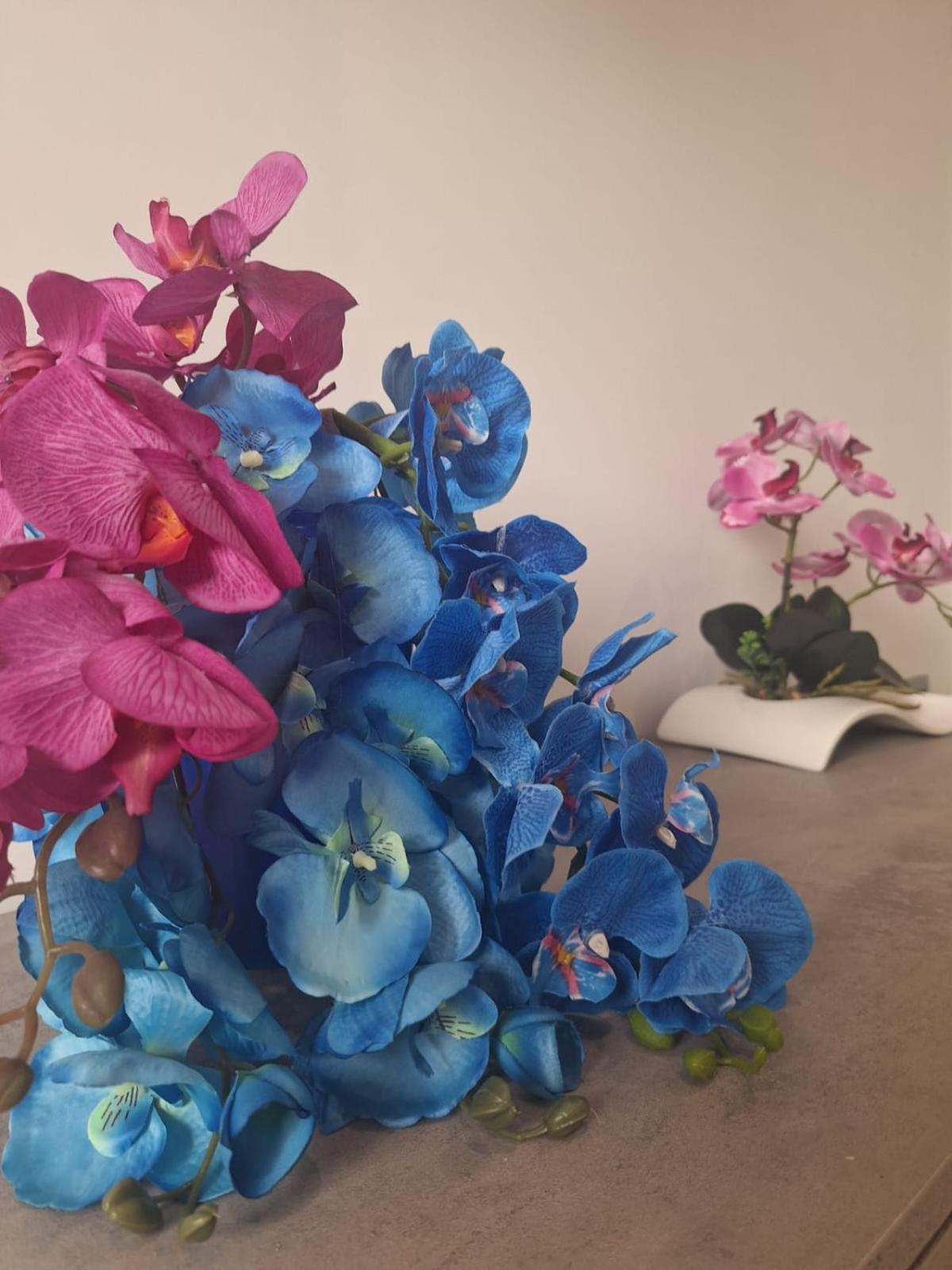 Grazia'S Home Sant'Agnello Ngoại thất bức ảnh