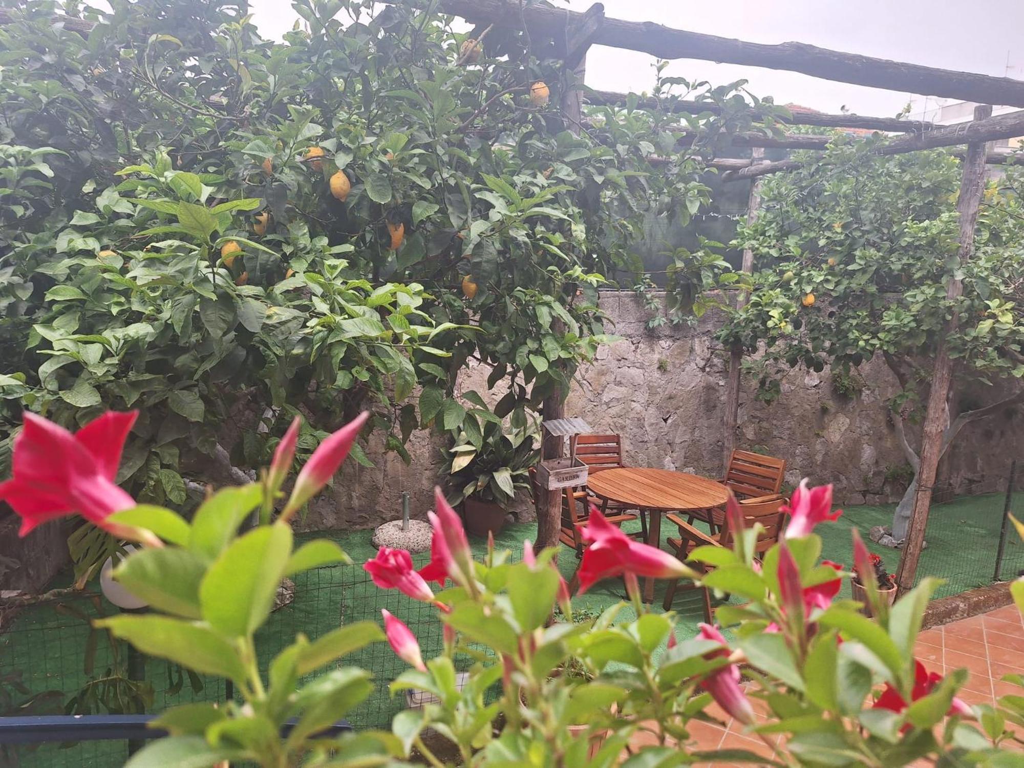 Grazia'S Home Sant'Agnello Ngoại thất bức ảnh